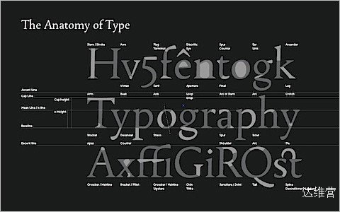 Useful Typography Resources - Wallpaper : Font Anatomy
