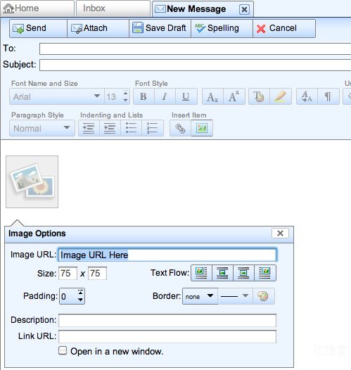 屏幕显示的是一个电子邮件程序，包含一个打开的窗口用来输入图片选项，如图片 url 和尺寸。