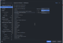 Localized IntelliJ IDEA 2021.3.1 is available-达维营-前端网